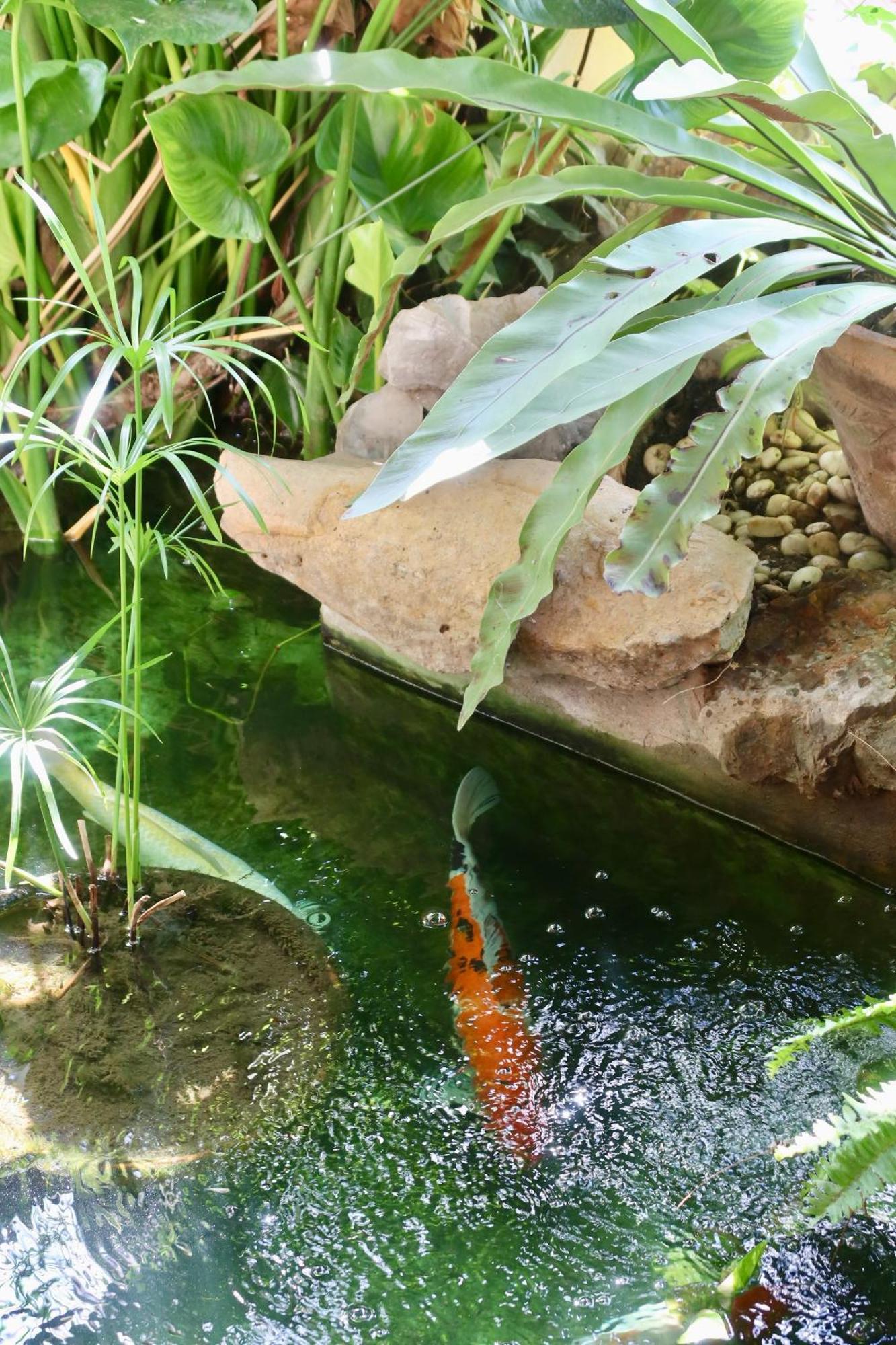 Banjai Garden Guesthouse Čiang Mai Exteriér fotografie